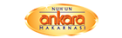 ankara-makarnasi